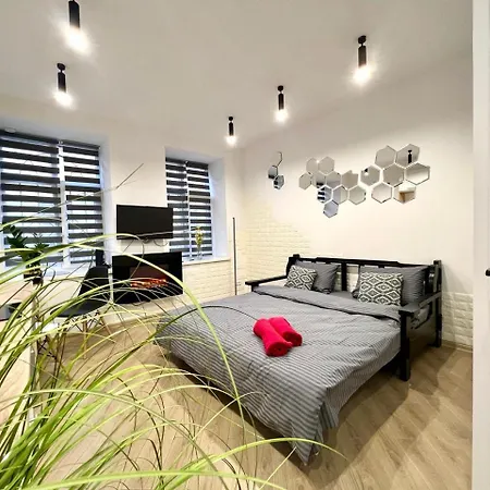 דירה князя лева