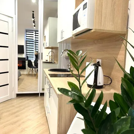 князя лева דירה *